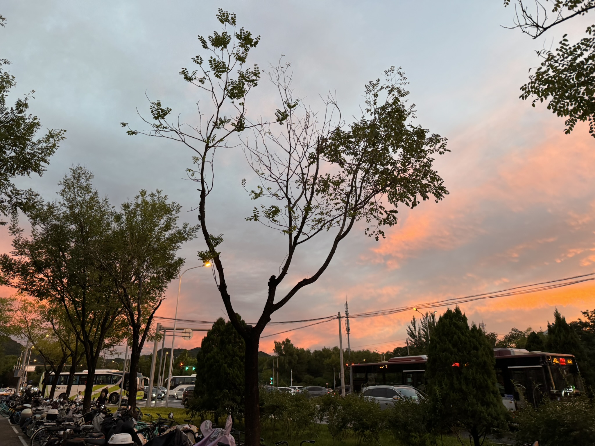 IMG_1683.JPEG